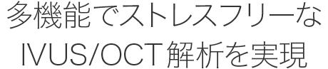 多機能でストレスフリーなIVUS/OCT解析を実現