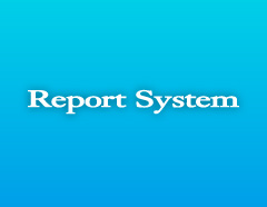 Report System