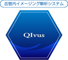 血管内イメージング解析システム QIvus