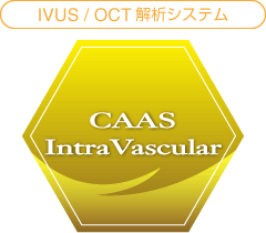 IVUS / OCT解析システム CAAS IntraVascular