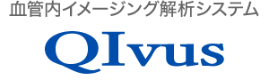 血管内イメージング解析システム　QIvus